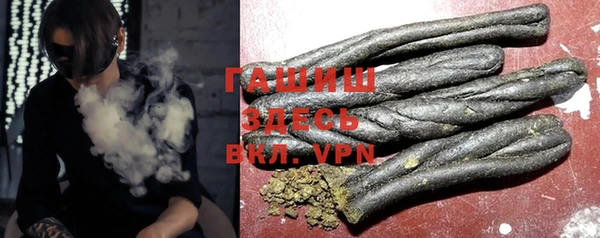 дживик Инта