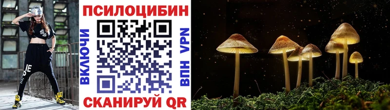 Галлюциногенные грибы Magic Shrooms OMG как зайти Кирово-Чепецк