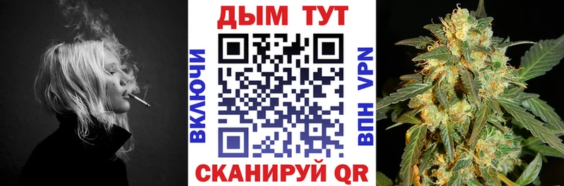 купить наркотики цена  Кирово-Чепецк  Бошки Шишки Amnesia 